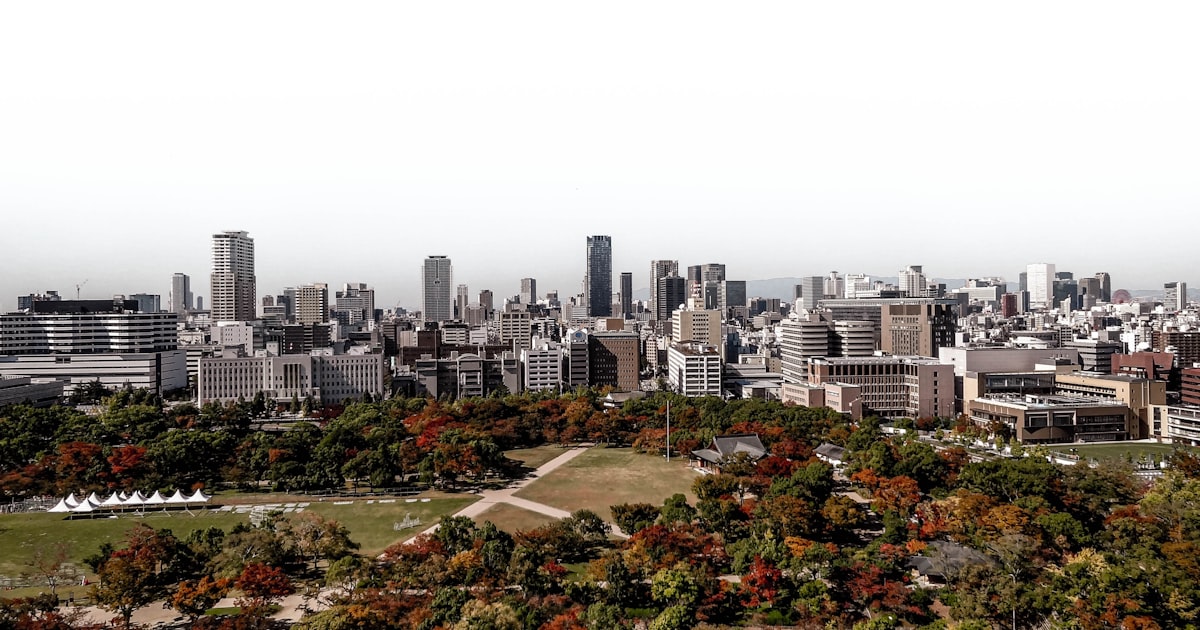 green and brown trees near city buildings during daytime