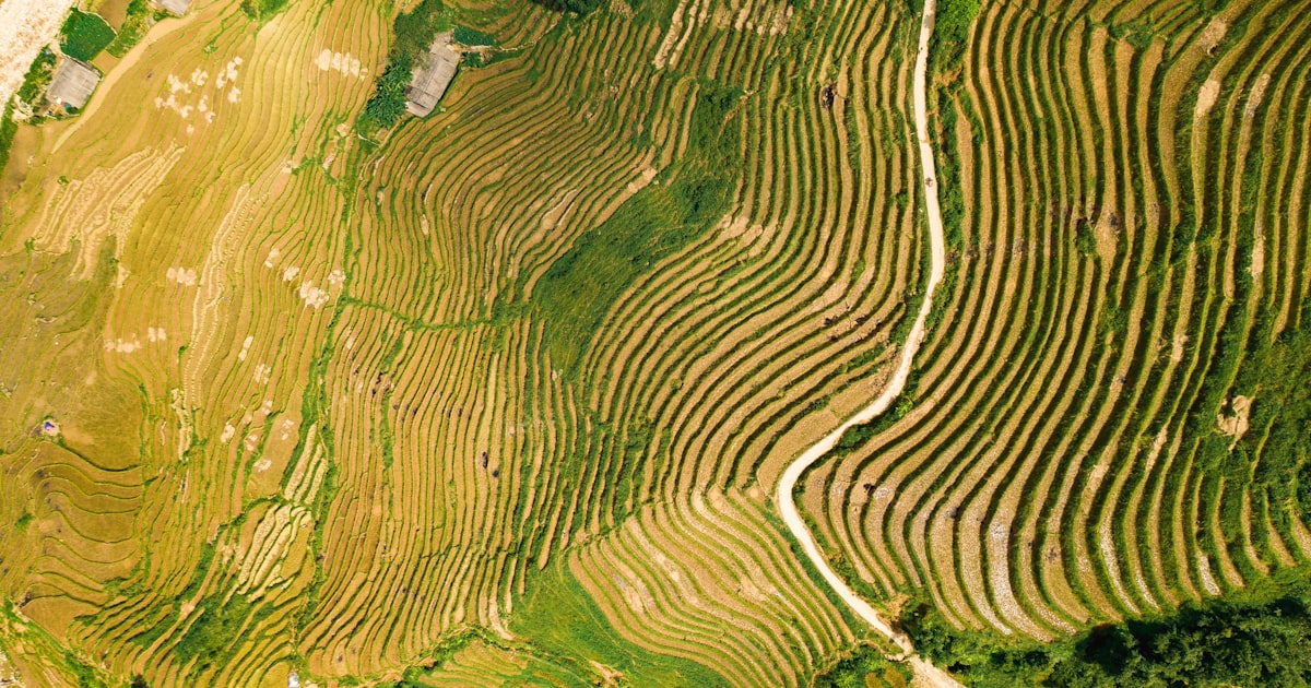 aerial photo of mountain